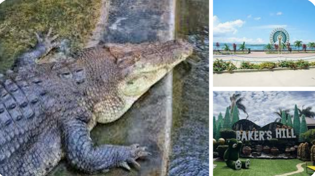 Puerto princesa city Tour 